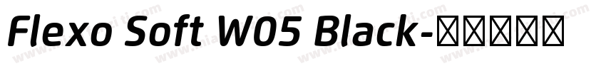 Flexo Soft W05 Black字体转换